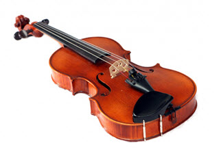 Viola